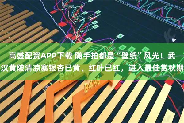高盛配资APP下载 随手拍都是“壁纸”风光！武汉黄陂清凉寨银杏已黄、红叶已红，进入最佳赏秋期