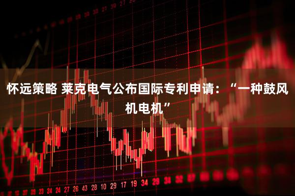 怀远策略 莱克电气公布国际专利申请：“一种鼓风机电机”