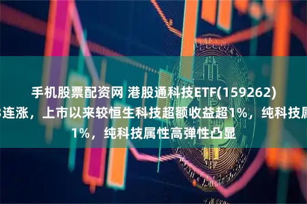 手机股票配资网 港股通科技ETF(159262)逆市红盘冲击3连涨，上市以来较恒生科技超额收益超1%，纯科技属性高弹性凸显
