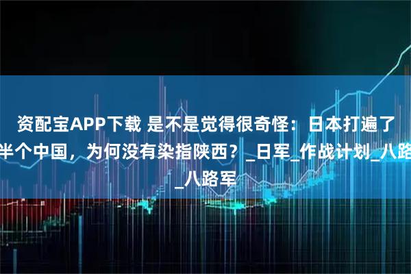 资配宝APP下载 是不是觉得很奇怪：日本打遍了大半个中国，为何没有染指陕西？_日军_作战计划_八路军